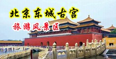 撕开欧美女性内裤用鸡巴猛烈插入美女逼里的网站中国北京-东城古宫旅游风景区